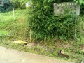 IMG_20250623_094659