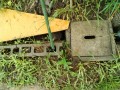 IMG_20250623_094706