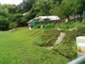 IMG_20250623_095206