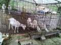 IMG_20250623_103235