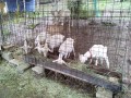 IMG_20250623_103303