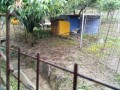 IMG_20250623_103319