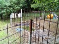 IMG_20250623_103334
