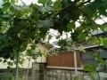 IMG_20250623_154648