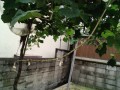 IMG_20250623_154706
