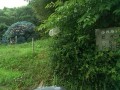 IMG_20250624_091217