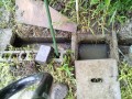 IMG_20250624_091221