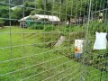 IMG_20250624_091245