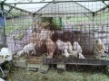 IMG_20250624_092809