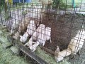 IMG_20250624_092818