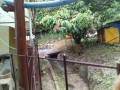 IMG_20250624_092831