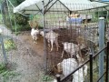 IMG_20250624_092855