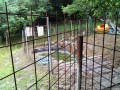 IMG_20250624_092911
