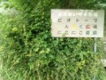 IMG_20250625_094647