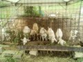 IMG_20250625_095431