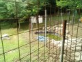 IMG_20250625_095548