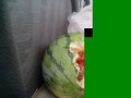 IMG_20250625_170048