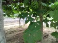 IMG_20250625_170445
