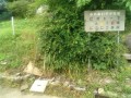 IMG_20250626_084543