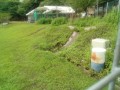 IMG_20250626_084623