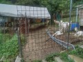 IMG_20250626_084658