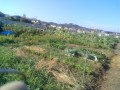 IMG_20250626_164913