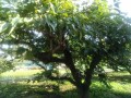 IMG_20250626_165117