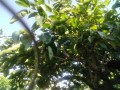 IMG_20250626_165124