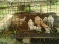 IMG_20250627_100406
