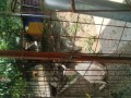 IMG_20250627_100809