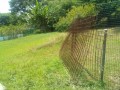 IMG_20250627_113131