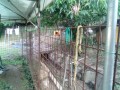 IMG_20250628_174030