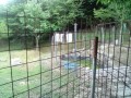 IMG_20250628_174042