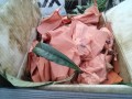 IMG_20250628_175923