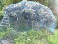 IMG_20250628_175942