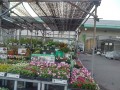 IMG_20250628_183226