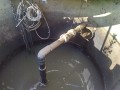 IMG_20250629_072523