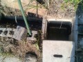 IMG_20250629_072554