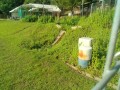 IMG_20250629_072636