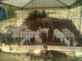 IMG_20250629_073024
