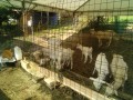 IMG_20250629_073029