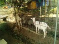 IMG_20250629_073041
