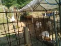 IMG_20250629_073046