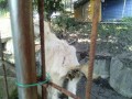 IMG_20250629_073100