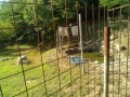 IMG_20250629_073108