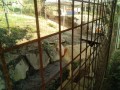 IMG_20250629_073118