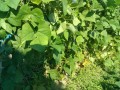 IMG_20250630_151249