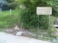 IMG_20250630_163343