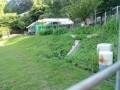 IMG_20250630_163514