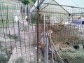 IMG_20250630_163741